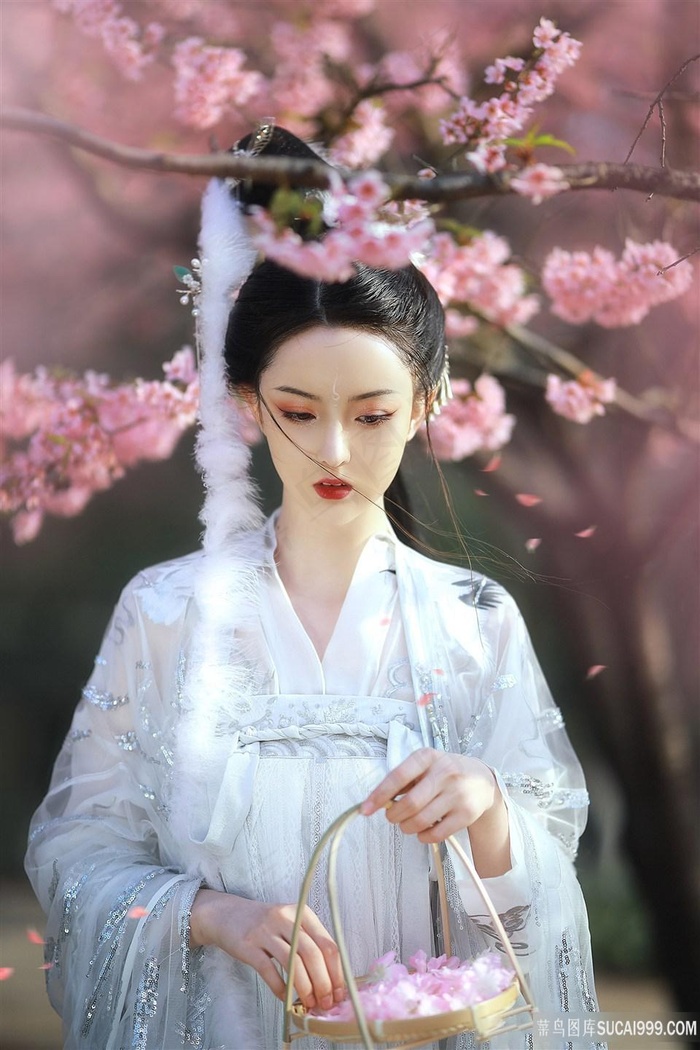 女人天下国语
