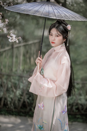 达芬小传
