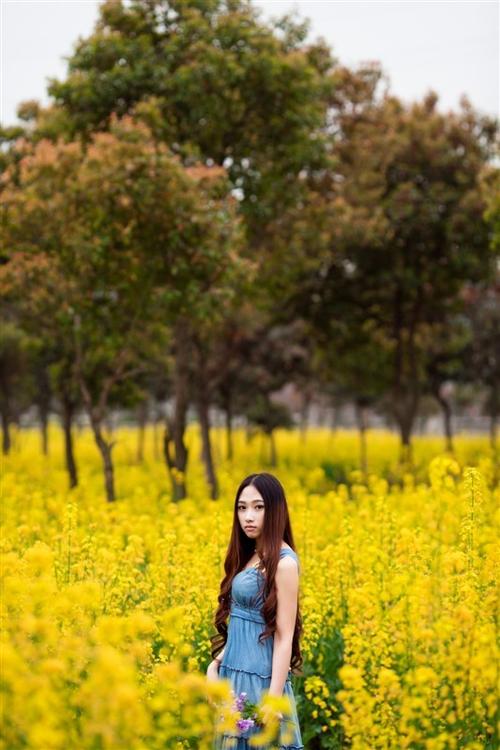 深宫谍影好看吗