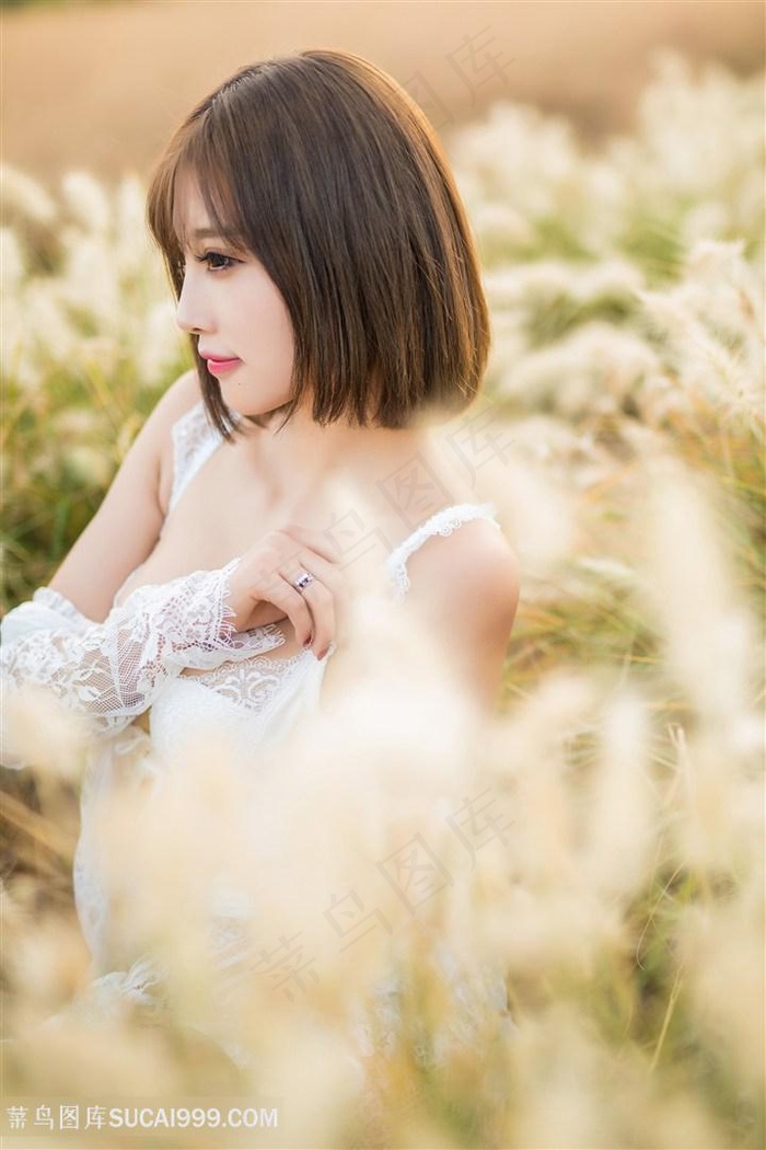 小毛虫成长日记
