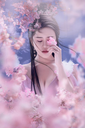 金炳万的丛林法则