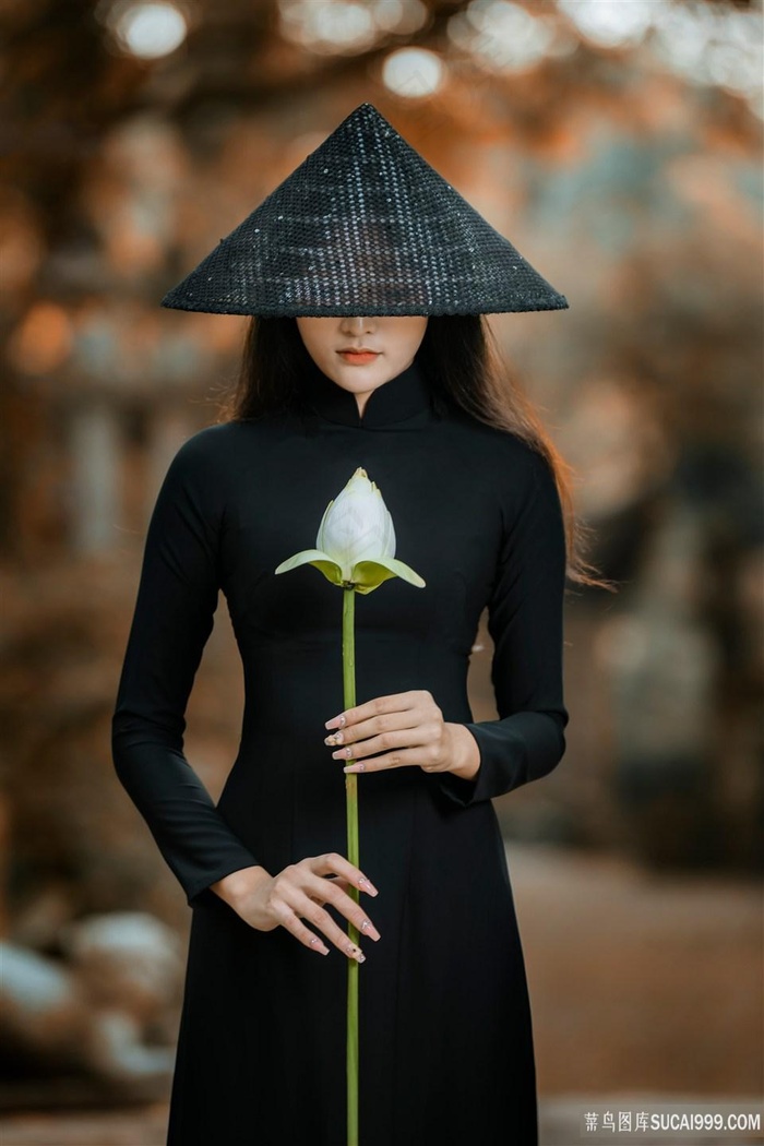乌鸦小姐与蜥蜴先生在线观看免费版