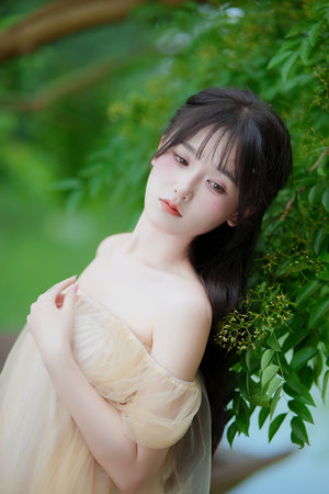 腾格尔 董小姐