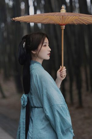 打狗棍51