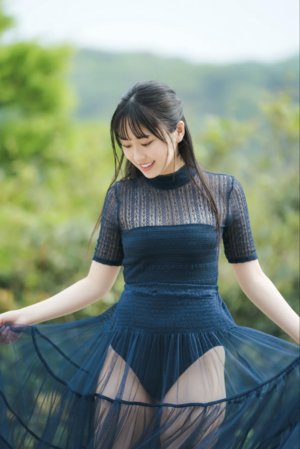 百兽战队大结局