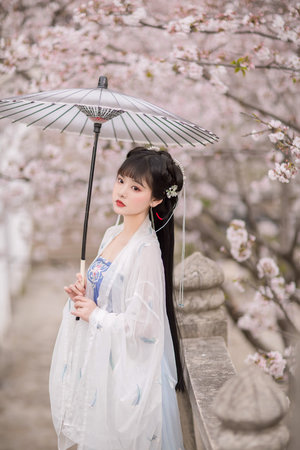 步步惊心全集剧情