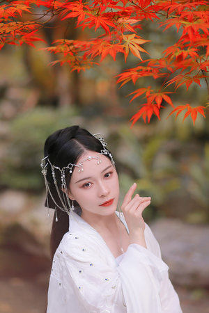 大明嫔妃之美人计