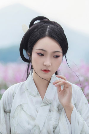 野花日本高清在线观看免费