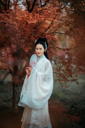 一念向北 电视剧