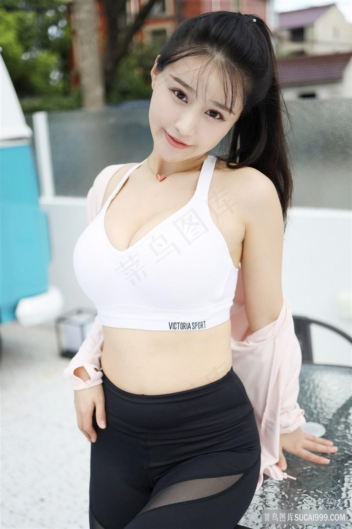 小叮当 羽翼之谜