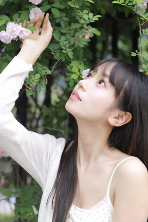 韩国演艺圈悲惨事件 torrent