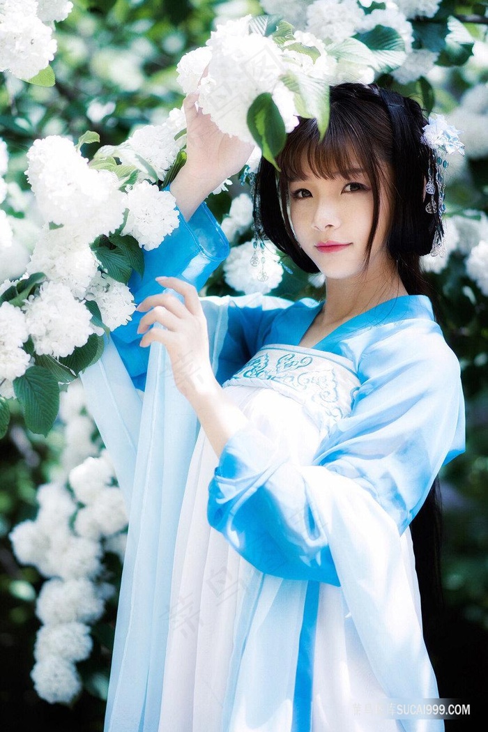 天地姻缘七仙女 电视剧